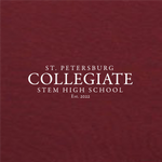 Collegiate Hoodie - Burgundy