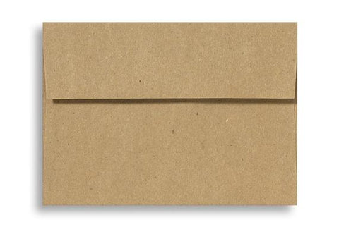 Blank Kraft Envelopes